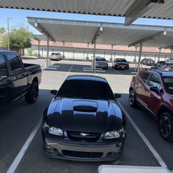 New Edge Mustang 