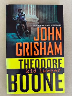 Theodore Boone, Kid Lawyer