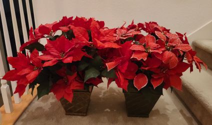 Artificial Christmas Poinsettia