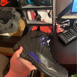 jordan 12 dark concord