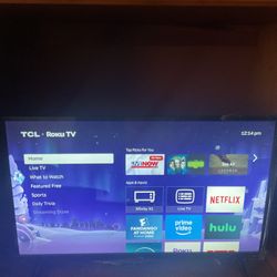 32 Inch Roku Tv