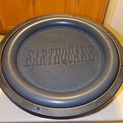 15 In Subwoofer Dual Coil Earthquake Woofer