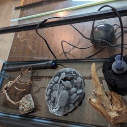 Fresh Water Aquarium Set Up