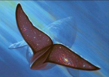 Willliam Schimmel " Whale Tail " limited edition COA