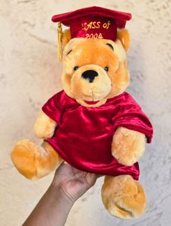 Disney Winnie the Pooh graduation cap & gown plush