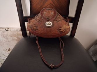 vintage taxidermy armadillo purse,