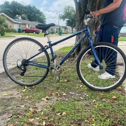 Trek Bike 