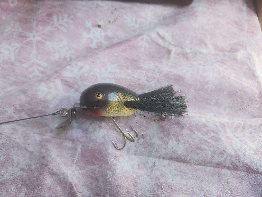 Dingbat  Fish Luer 