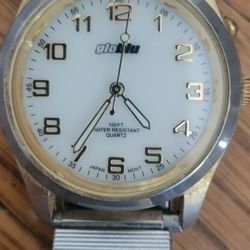 Globlu Timex Watch