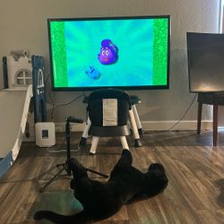 Samsung Tv  