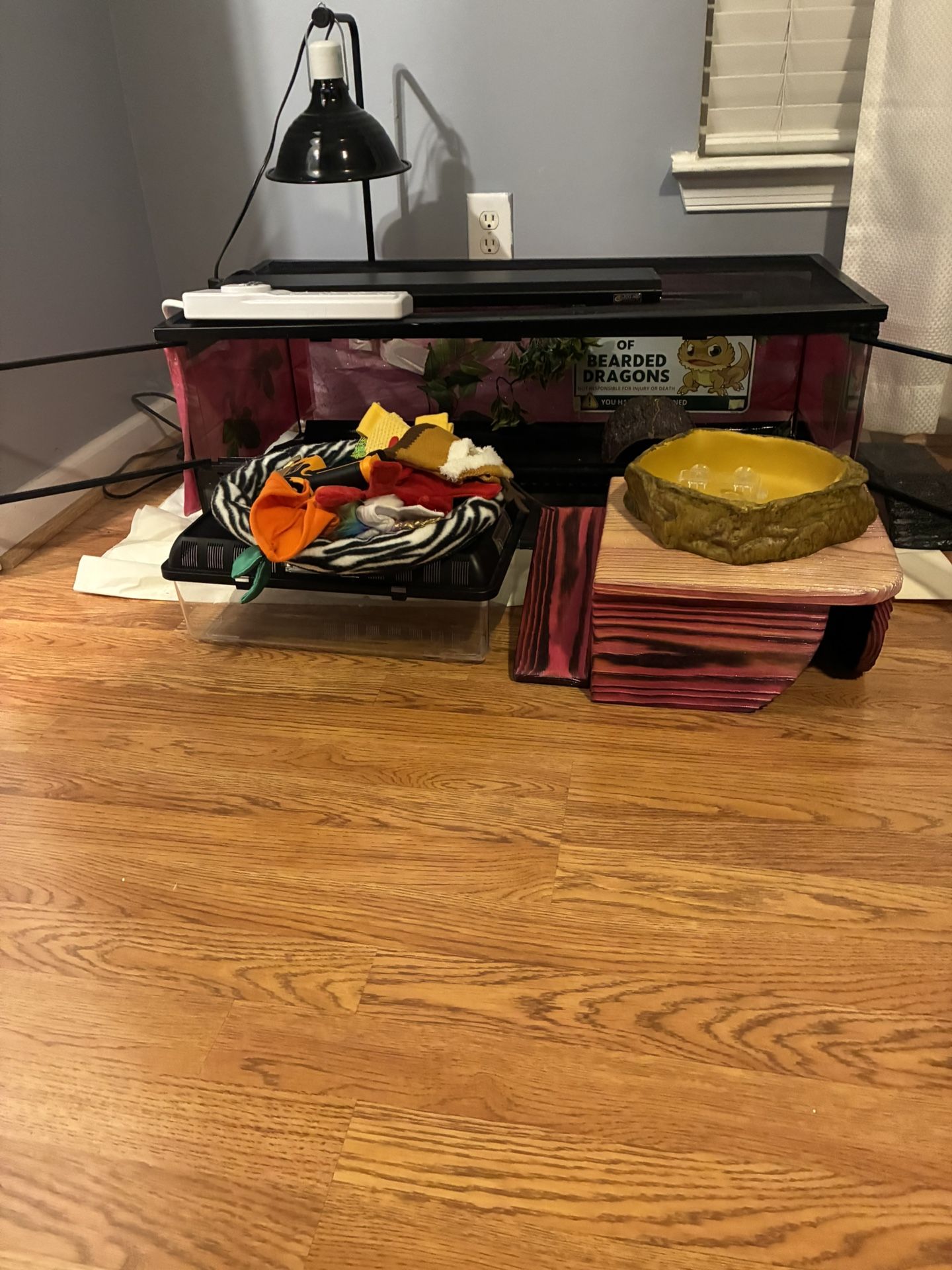 Reptile Setup And More