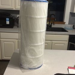 Spa and pool filter no