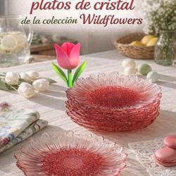 PLATOS  WILDFLOWER  (8) DE PRINCESS HOUSE 🌼🌼🌼
