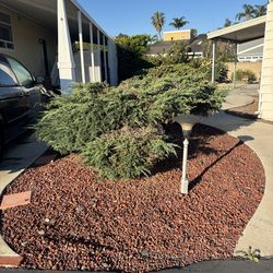 Free red lava  and river rock