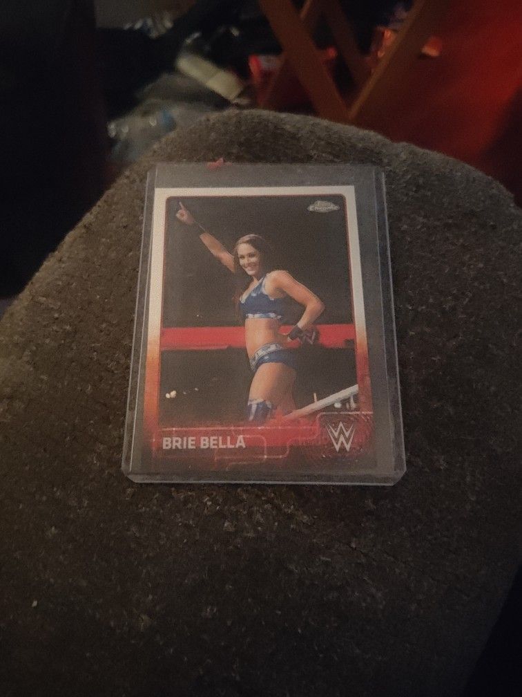 Brie Bella 