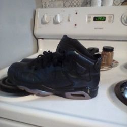 Jordan Chameleon 6s Sz 6.5