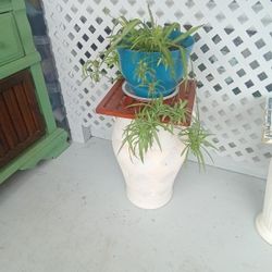 Plant Stand 