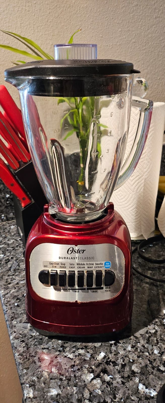 Red Blender (Oster)