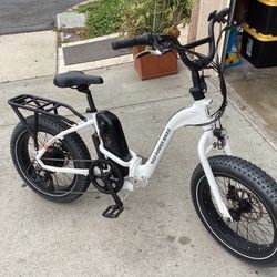 Electric Bike Rad Expand 