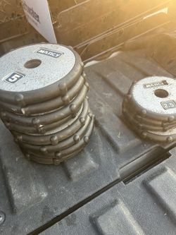50lbs Of Weights-Now Reduced 