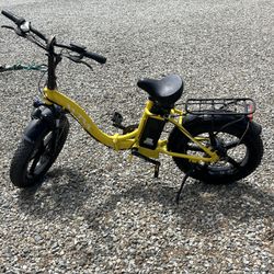 E Bike 