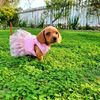 Samantha