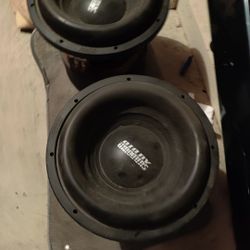 Sundown 12" Subs Zv6 D2