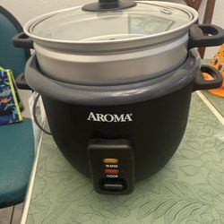 Rice Cooker & Steamer