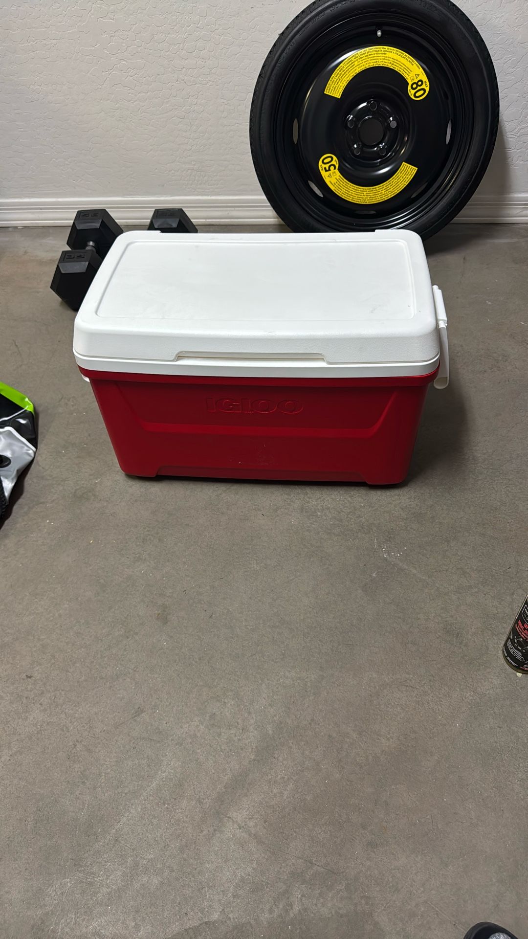 Igloo Cooler