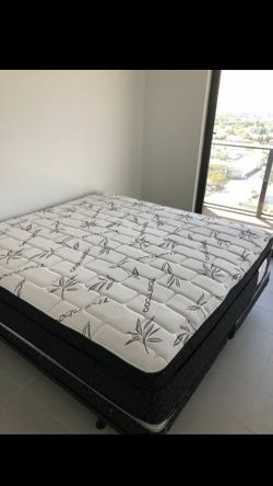 King Regular Mattress and box spring