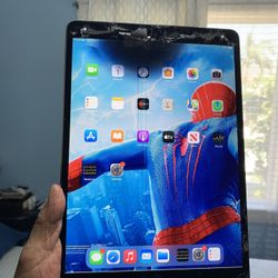 Apple iPad Pro-256Gb Crack Screen For Sale $70
