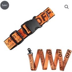 Off White Dog Collar And Leash 