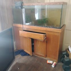 75 Gallon Fish Tank