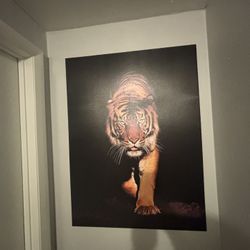 Tiger Wall Canvas