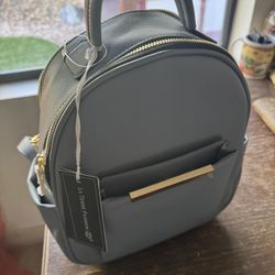 Brand New Mini Purse Backpack 🎒 