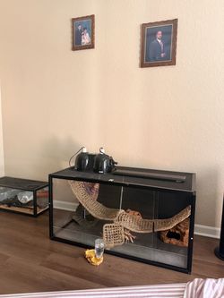 120 gal reptile tank 4x2x2ft