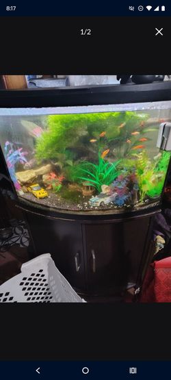 50 gallon fish tank