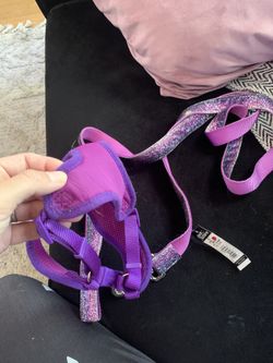 6 Foot Pet Leash And Harness 
