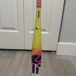 Easton Dub Baseball Bat 29” Drop -10