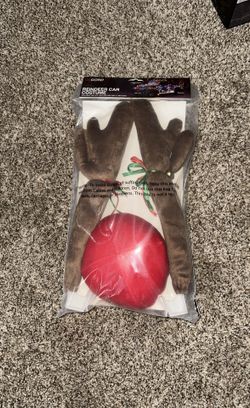 Reindeer Car Custom
