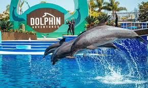 Seaworld Tickets/Boletos