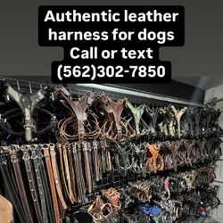 Dog Harness Collars And Leashes 