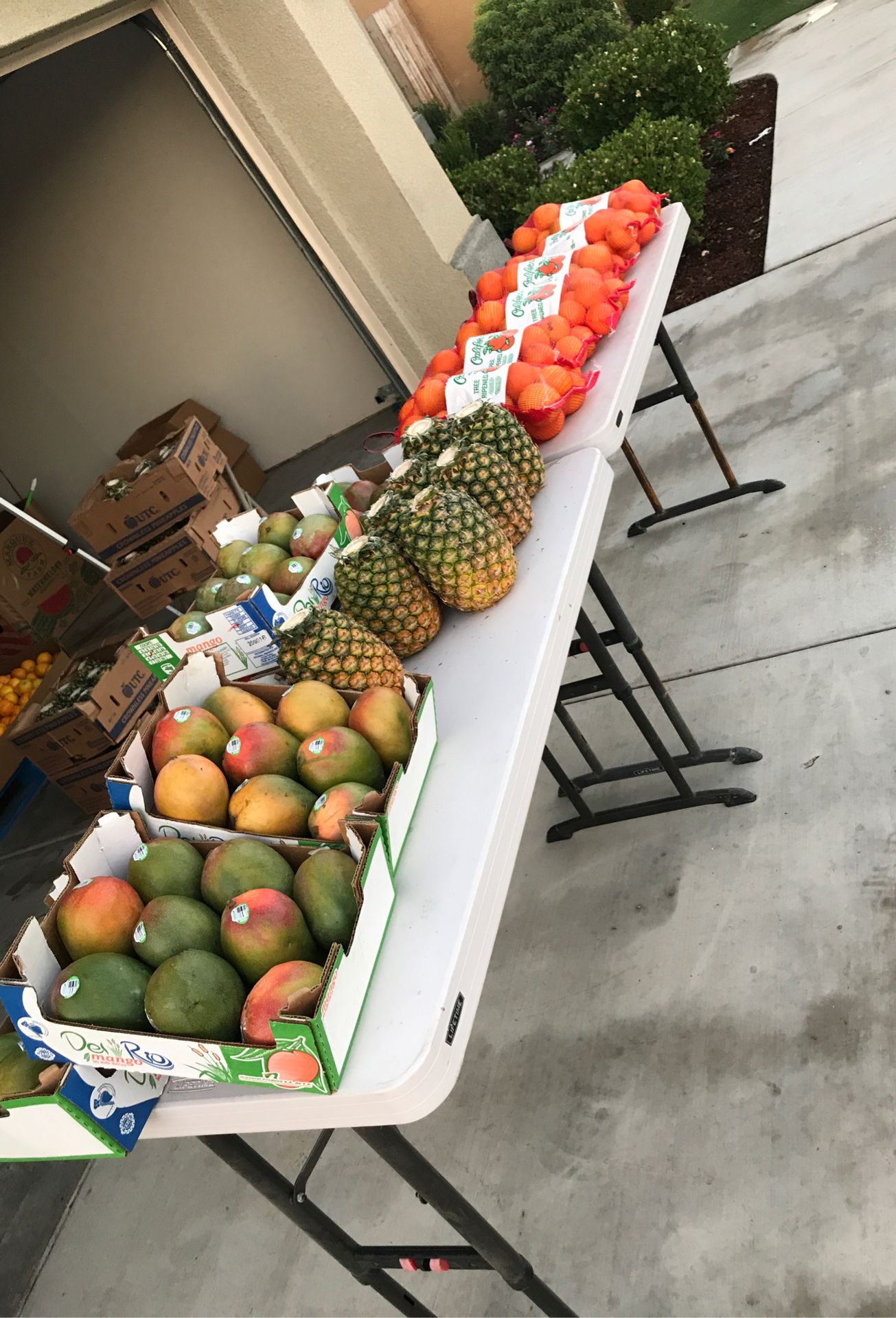 Mangos, piñas, naranjas todo fresco y dulce