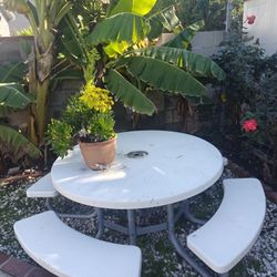 Picnic Table
