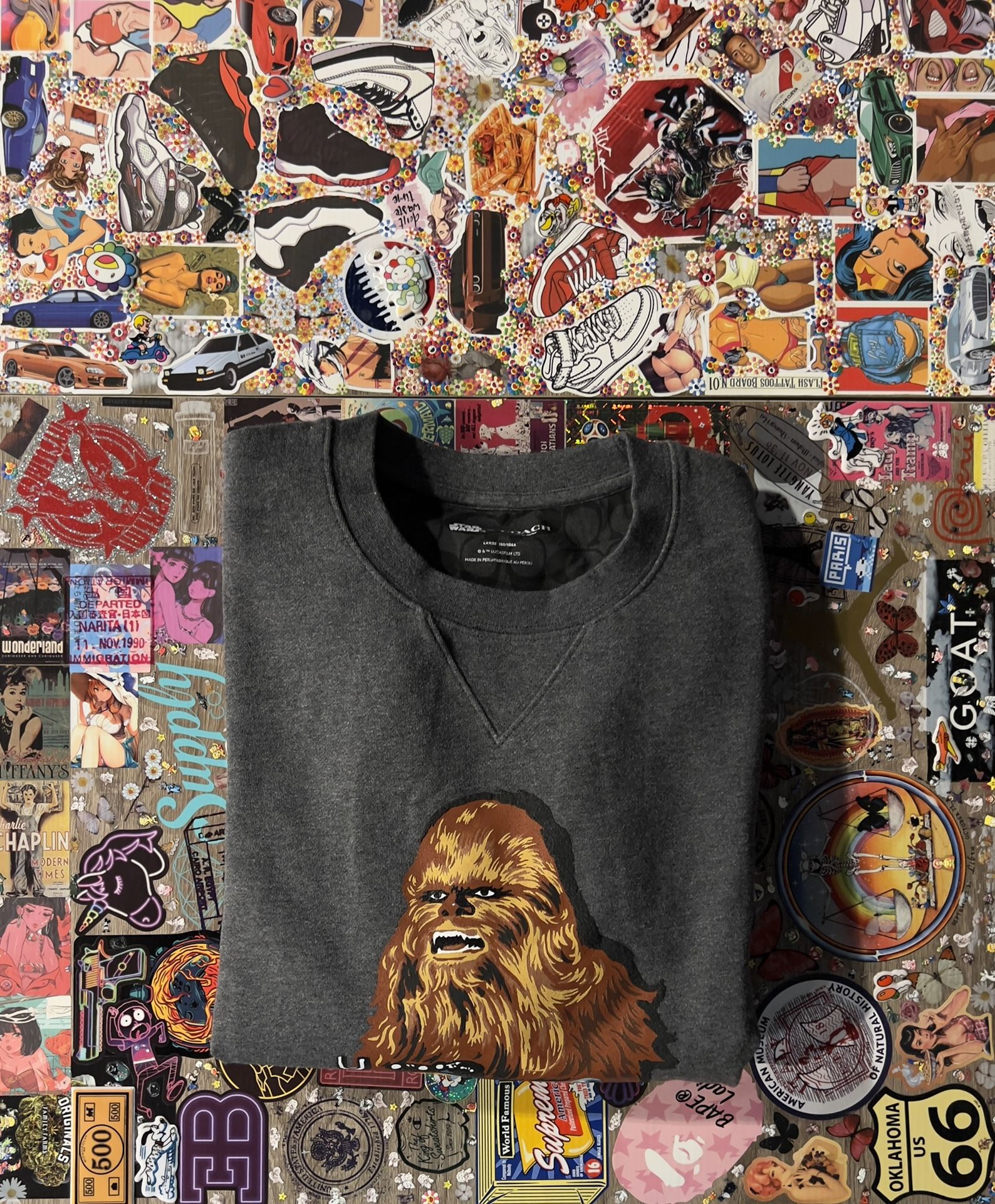 Star Wars X Coach Chewbacca Sweatshirt