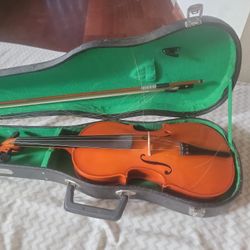 violin
