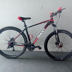 BICYCLE GIANT 21 SPEED SIZE-29 BRAND NEW 