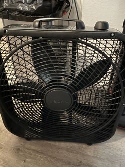 Fan