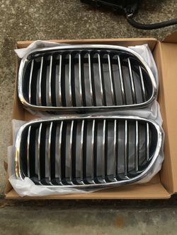 BMW Grill Inserts