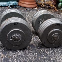 110 POUND PRO STYLE DUMBBELLS